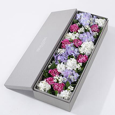 紫色白邊康乃馨8枝、白繡球1枝、藍紫色繡球1枝